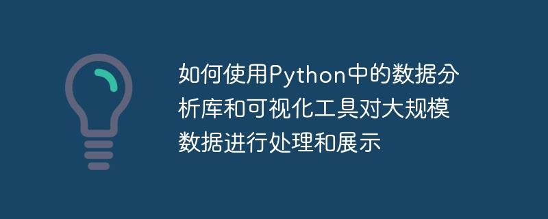 如何使用Python中的数据分析库和可视化工具对大规模数据进行处理和展示