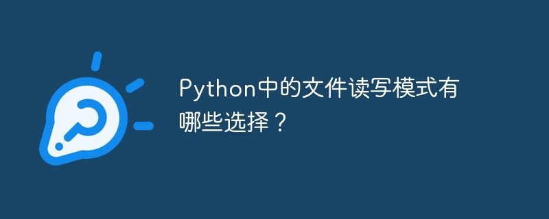 Python中的文件读写模式有哪些选择？