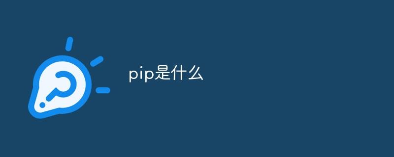 pip是什么