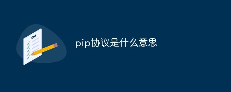 pip协议是什么意思