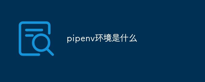 pipenv环境是什么