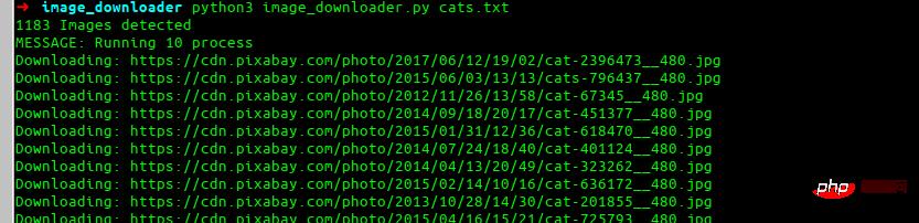 image downloader python