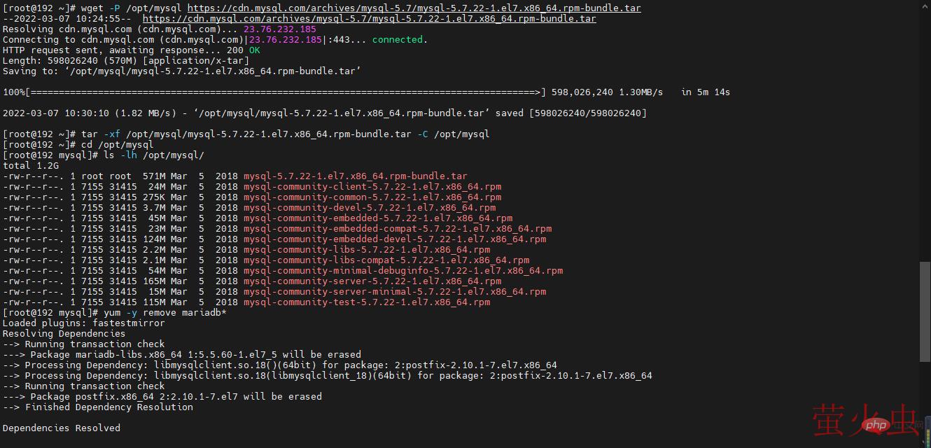 image-20220307103257232