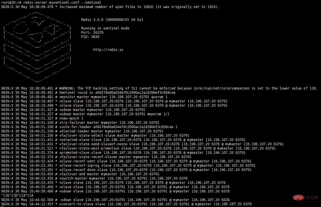 1585531098665872.jpg 1.jpg