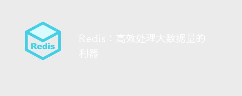 Redis：高效处理大数据量的利器