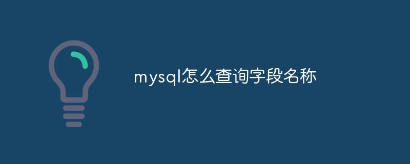 mysql怎么查询字段名称