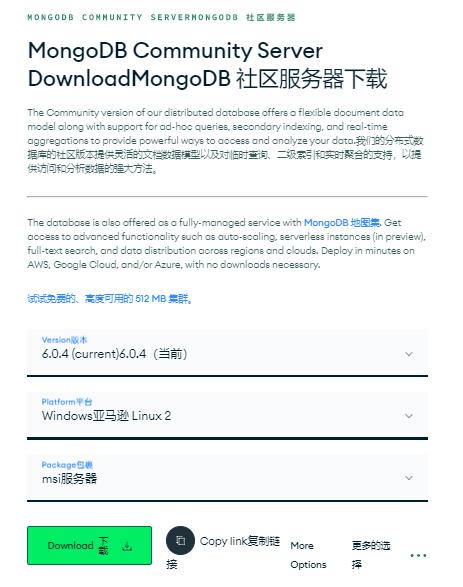 Windows系统下安装MongoDB并内网穿透远程连接