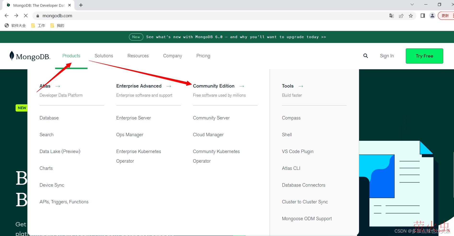 在这里插入图片描述