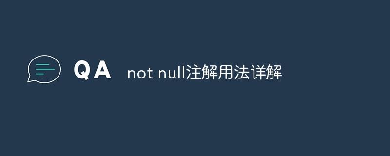 not null注解用法详解