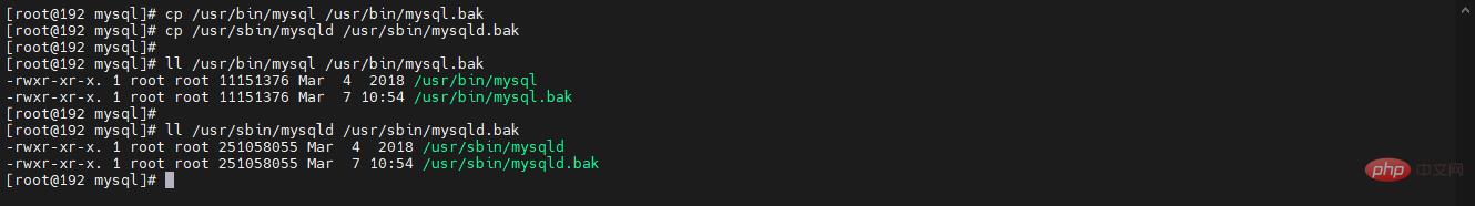 image-20220307105603753