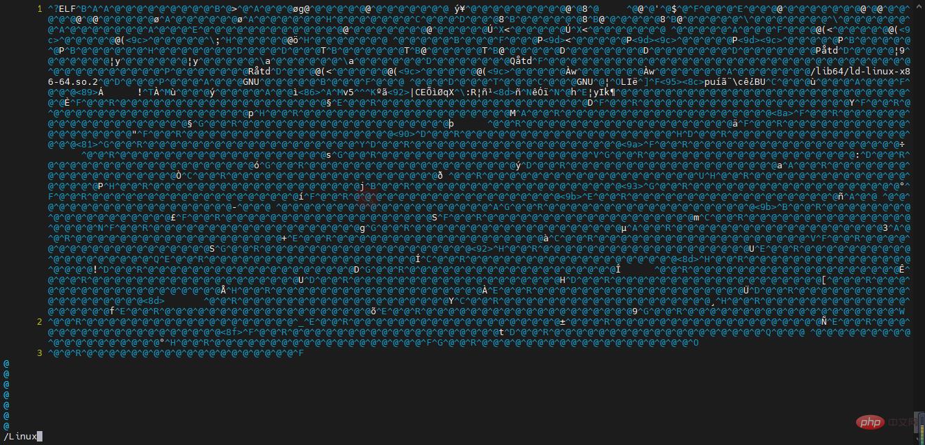 image-20220307105906292