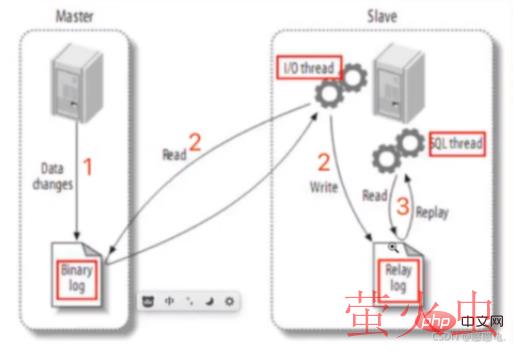 image-20220106214242459