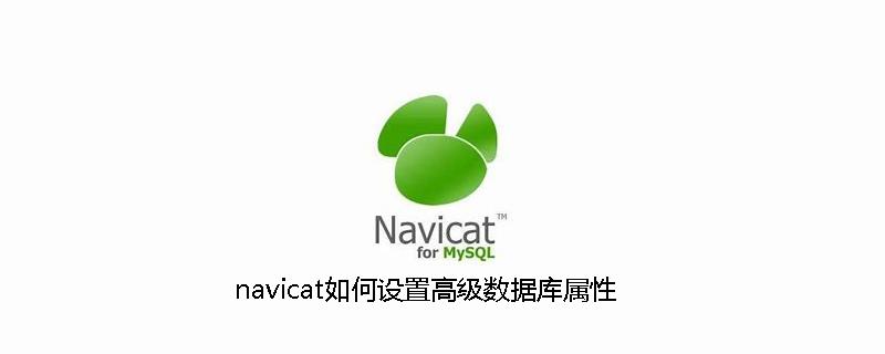 navicat如何设置高级数据库属性