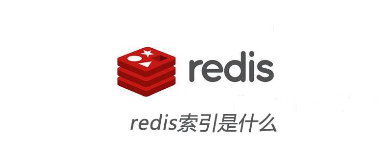 redis索引是什么