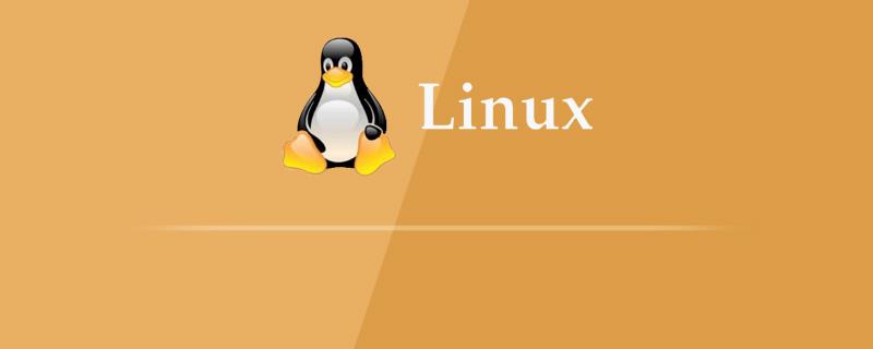 linux下phpmyadmin如何配置