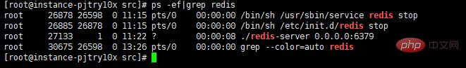 查看 redis 进程号