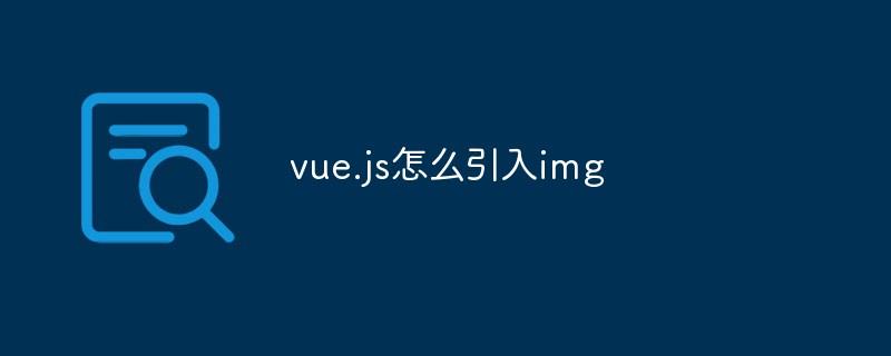 vue.js怎么引入img