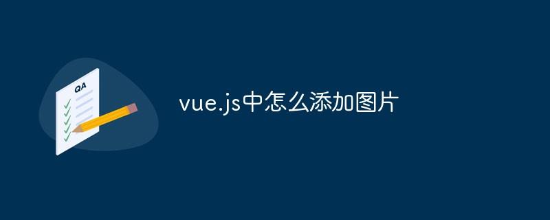 vue.js中怎么添加图片