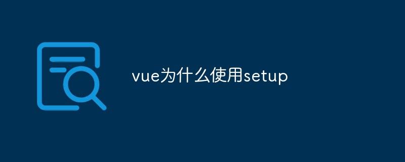 vue为什么使用setup