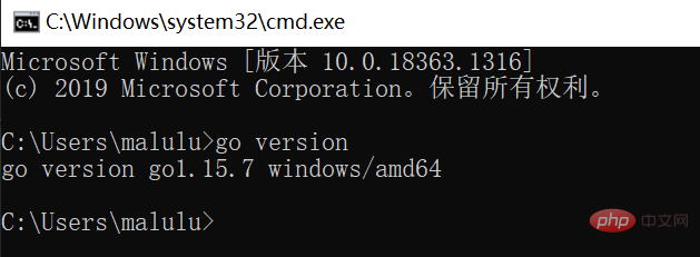 image-20210121112421225