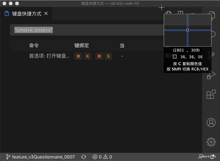 vscode json文件.gif