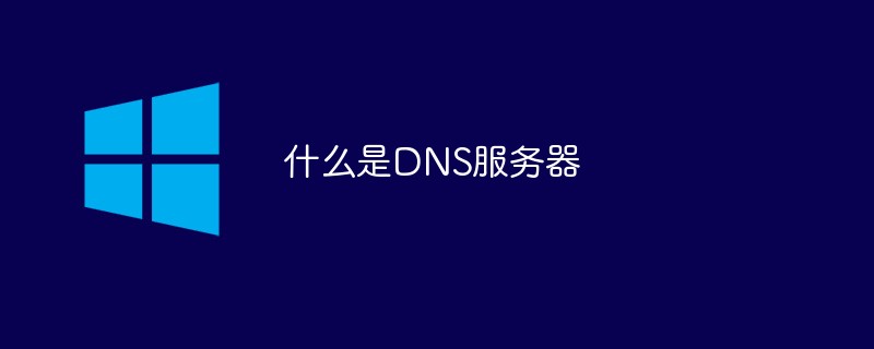 什么是DNS服务器